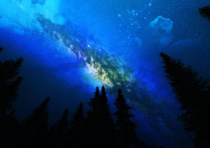 Galaxy Over the Pines